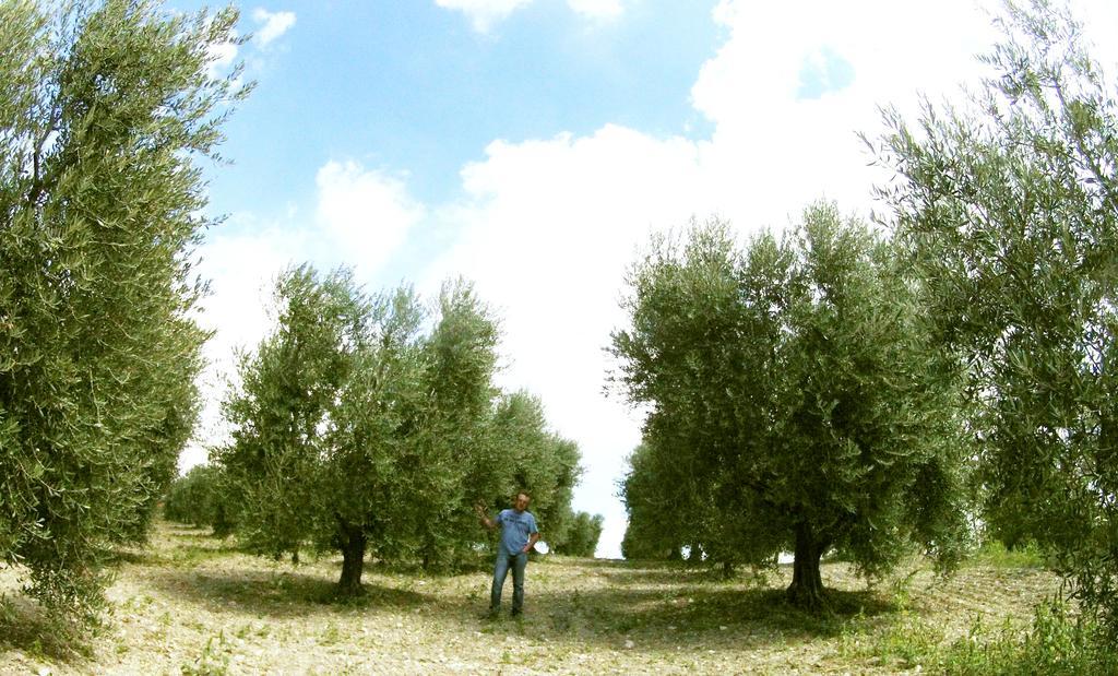 Aia Di Lazzaro Agriturismo Casalbore Екстериор снимка