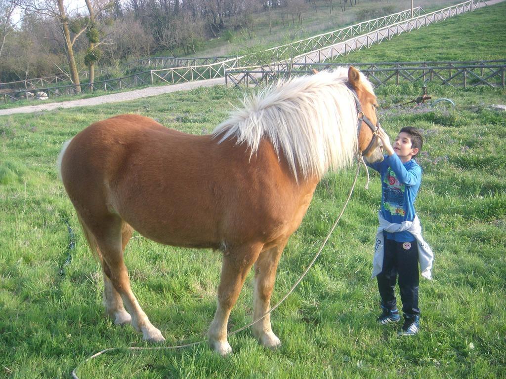 Aia Di Lazzaro Agriturismo Casalbore Екстериор снимка