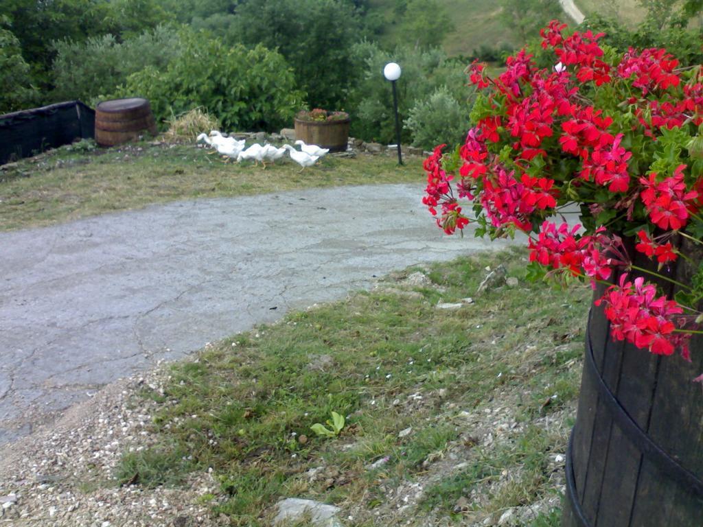 Aia Di Lazzaro Agriturismo Casalbore Екстериор снимка