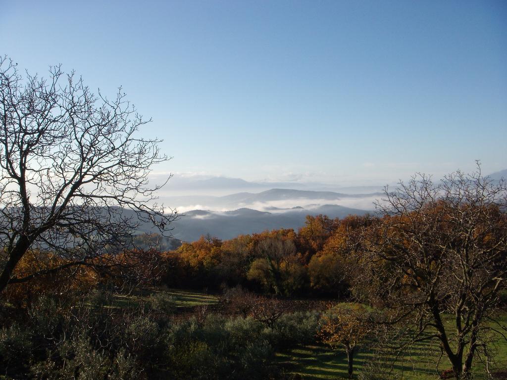 Aia Di Lazzaro Agriturismo Casalbore Екстериор снимка